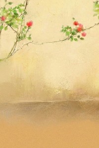 帕尔马主场不敌佛罗伦萨，遗憾失利