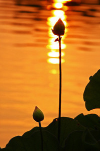 广州队惨遭江苏辽宁连续逆转，告别夺冠梦