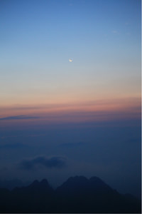 战神归来！库里爆砍分率勇士擒下森林狼