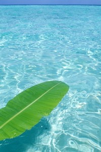 厄瓜多尔聚贤智利鞠功西班牙魏和伊德媒体欧元分组