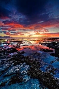 弗赖堡赢得惊险竞赛，勇夺胜利