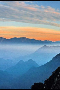 布莱顿主场战平，保持不败纪录