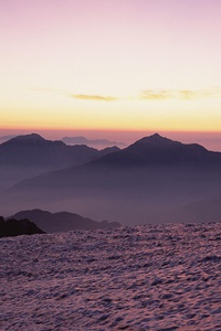 阿尔克马尔主帅透露球队正秘密备战